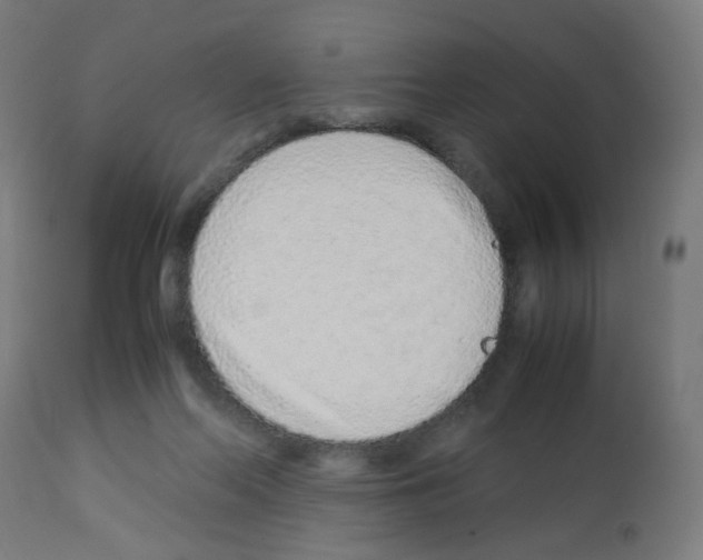 X0000113010214200910081230