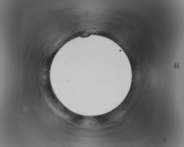 X0000113010215200910081230