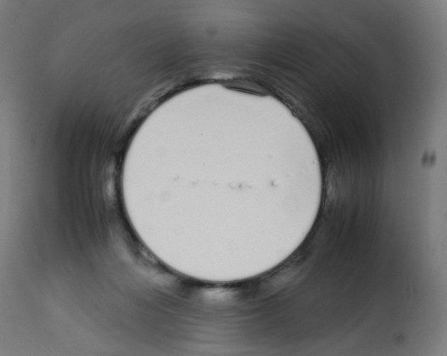X0000113010216200910081230