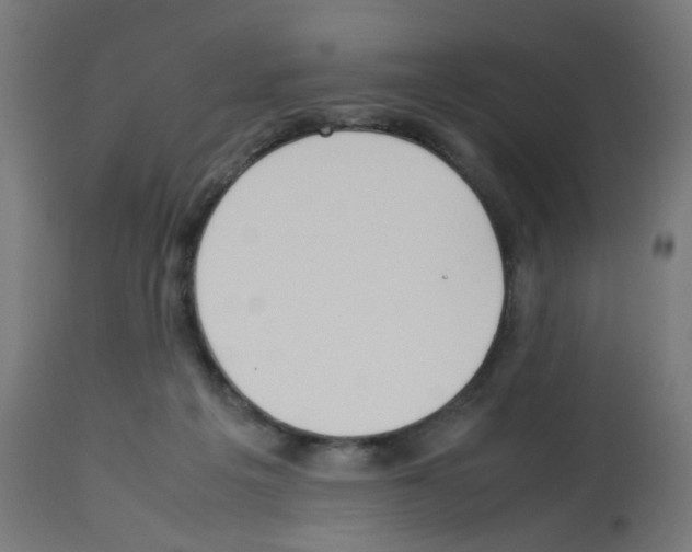 X0000113010217200910081230