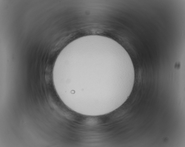 X0000113010218200910081230