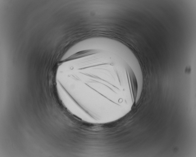 X0000113010219200910081230
