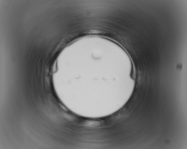 X0000113010220200910081230