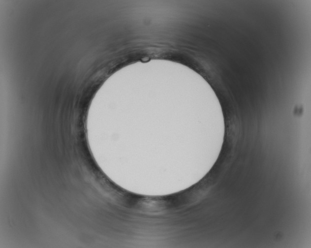 X0000113010221200910081230