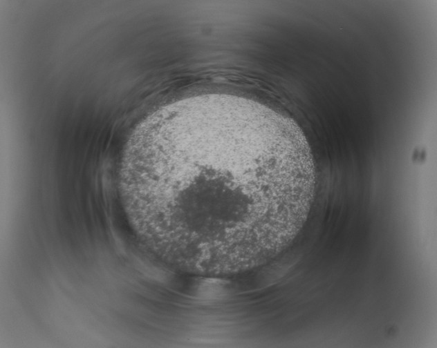 X0000113010222200910081230