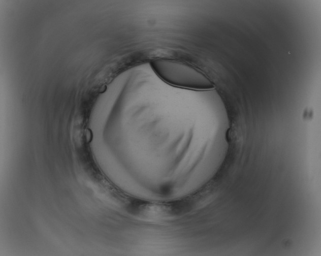 X0000113010223200910081230