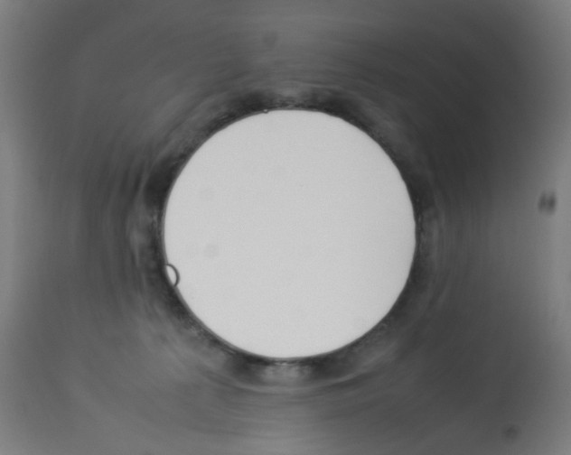 X0000113010225200910081230