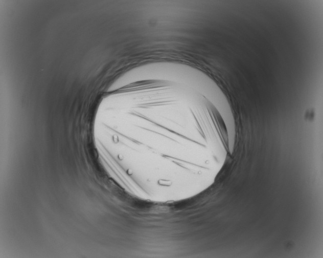 X0000113010227200910081230
