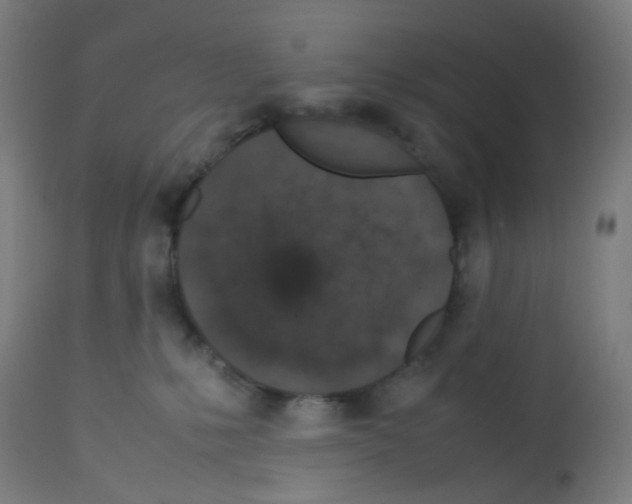 X0000113010231200910081230