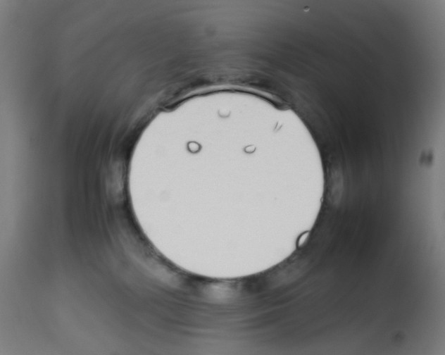 X0000113010232200910081230