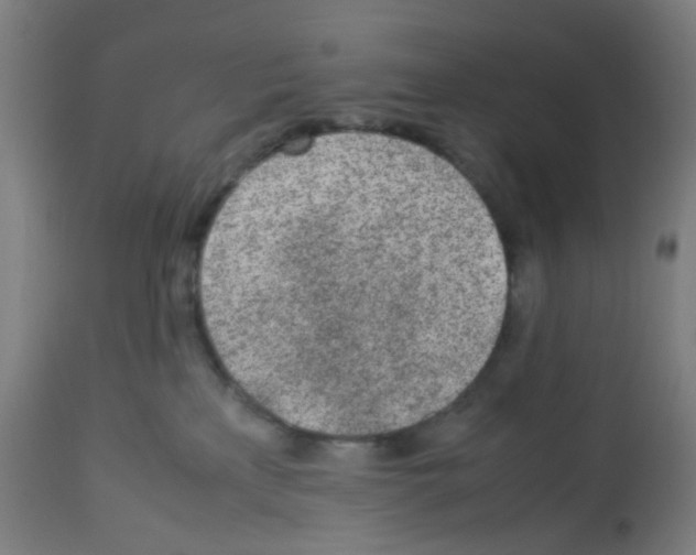 X0000113010233200910081230
