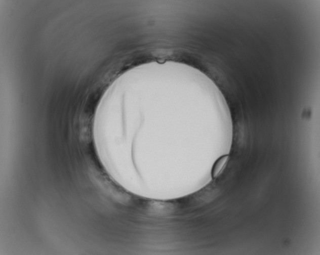 X0000113010234200910081230
