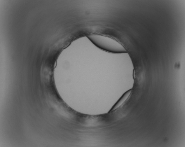 X0000113010235200910081230