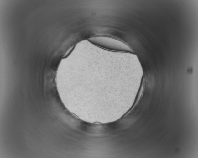 X0000113010237200910081230