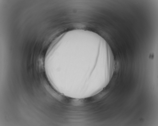 X0000113010238200910081230