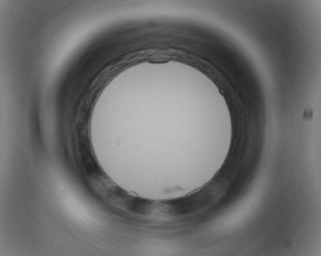 X0000113010239200910081230