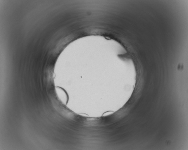 X0000113010240200910081230
