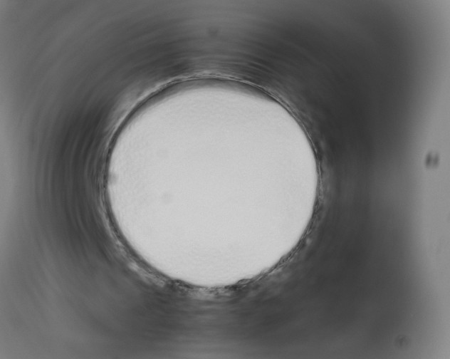 X0000113010241200910081229