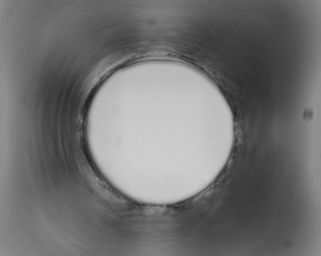 X0000113010242200910081229