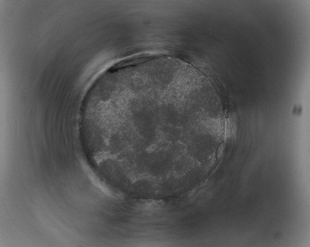 X0000113010243200910081229