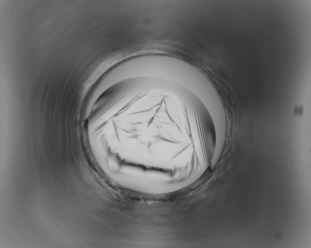 X0000113010244200910081229