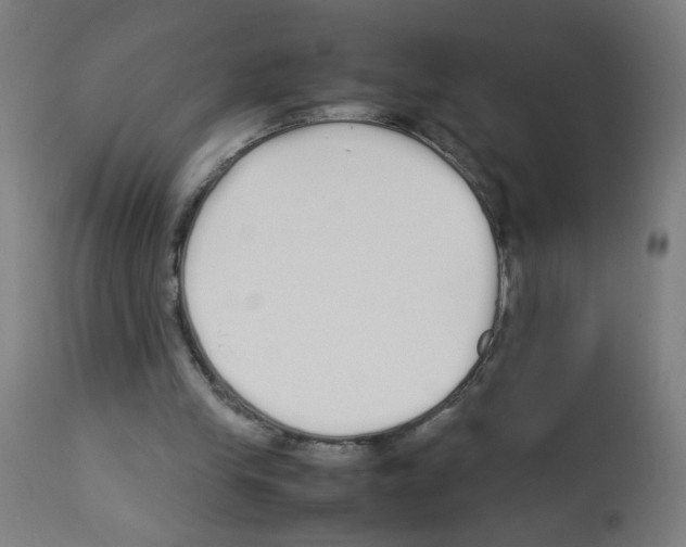 X0000113010245200910081229
