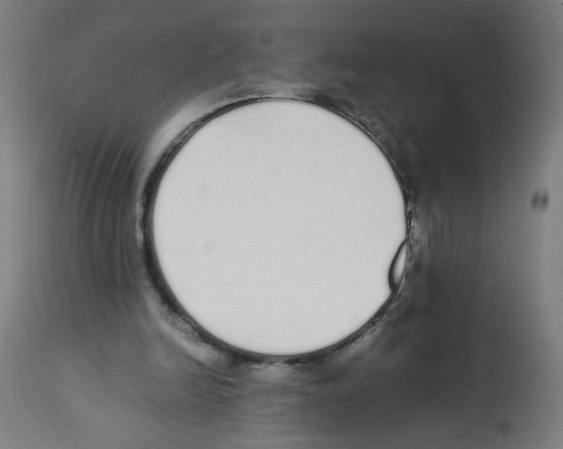 X0000113010246200910081229