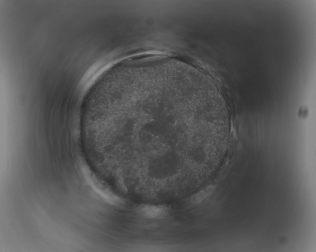 X0000113010247200910081229