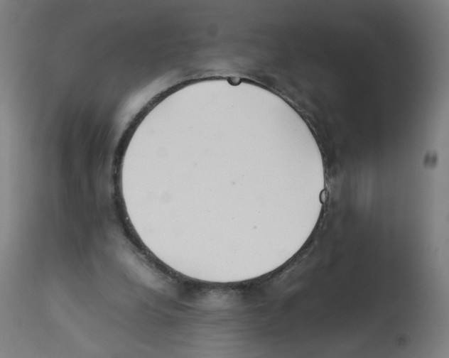 X0000113010248200910081229