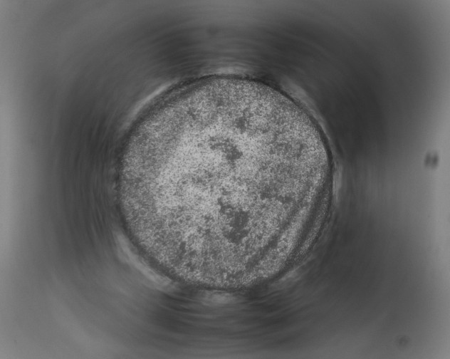 X0000113010249200910081229