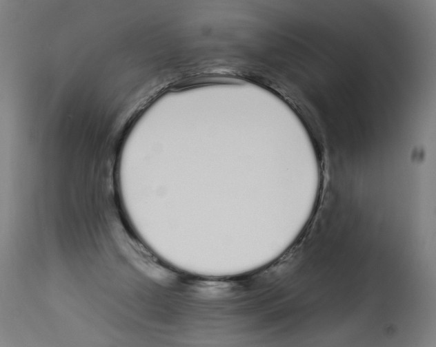 X0000113010250200910081229