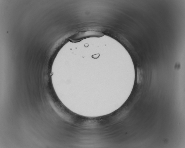 X0000113010252200910081229