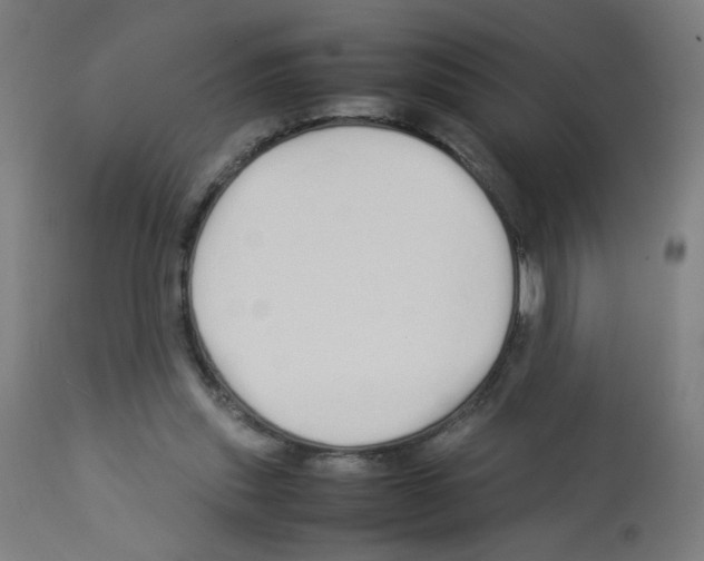 X0000113010253200910081229