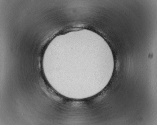 X0000113010254200910081229