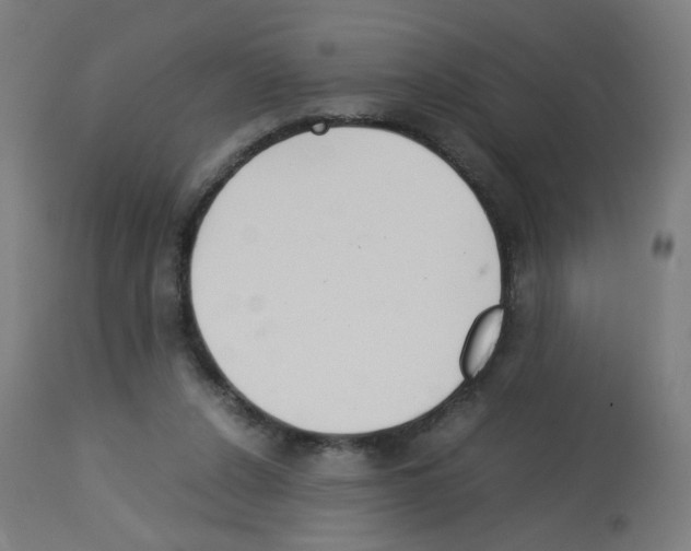 X0000113010256200910081229
