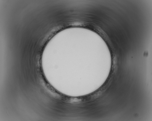 X0000113010257200910081229