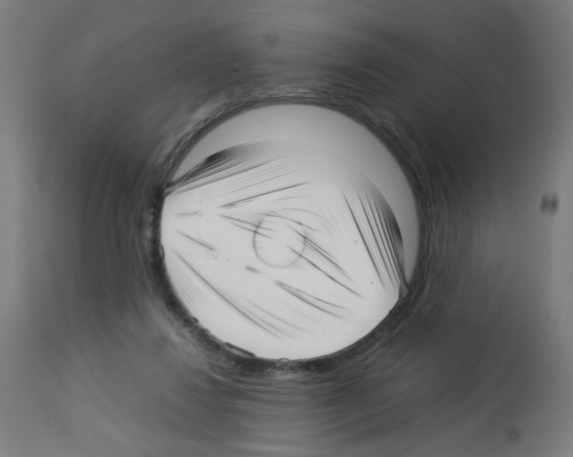 X0000113010260200910081229