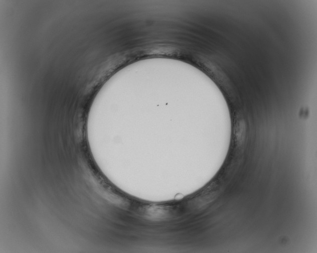 X0000113010261200910081229