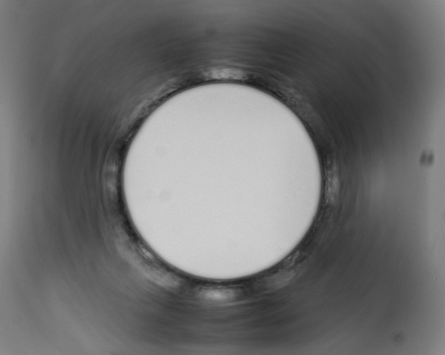X0000113010263200910081229
