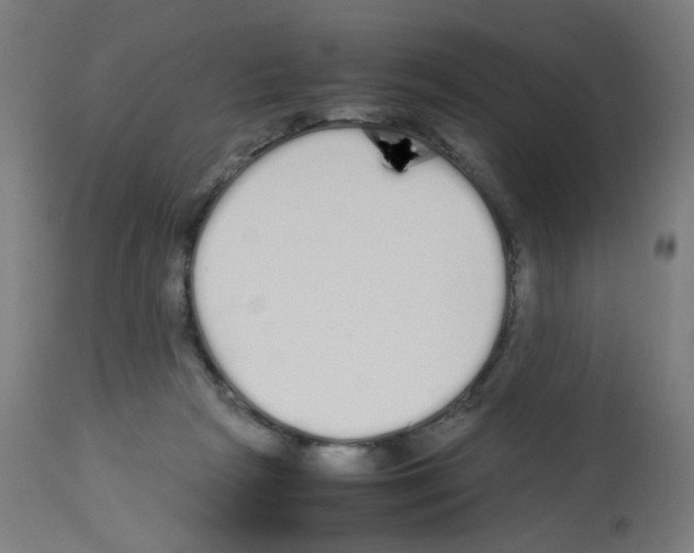 X0000113010265200910081229