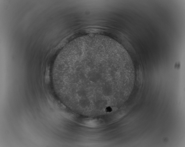 X0000113010267200910081229