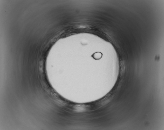 X0000113010269200910081229