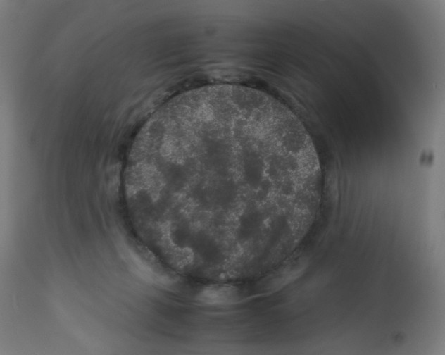 X0000113010271200910081229
