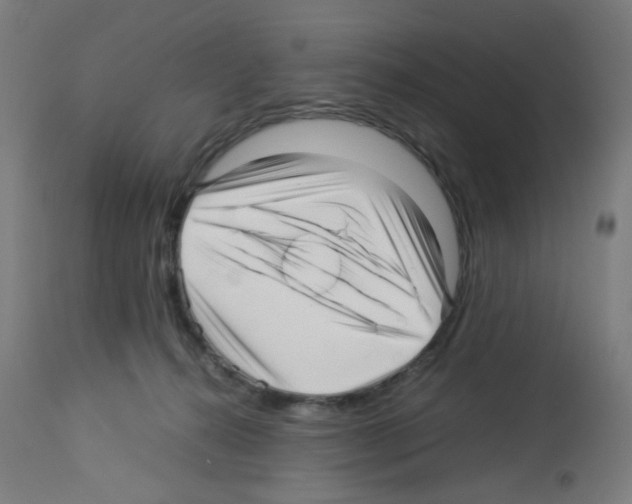 X0000113010272200910081229