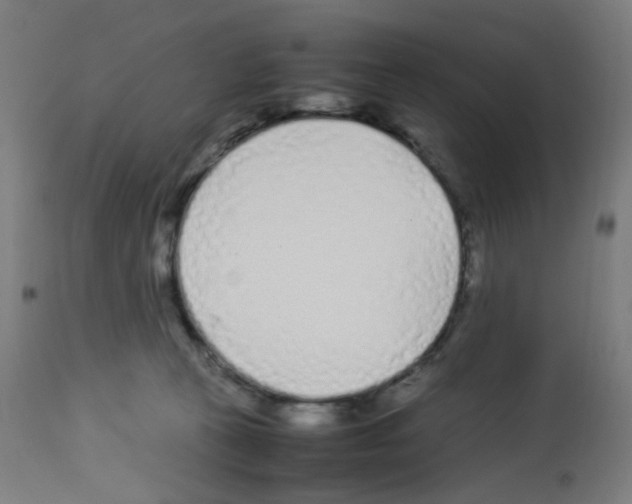 X0000113010273200910081229