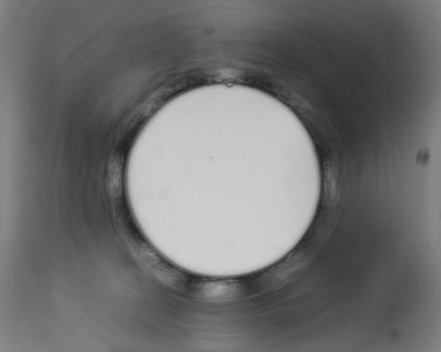 X0000113010274200910081229