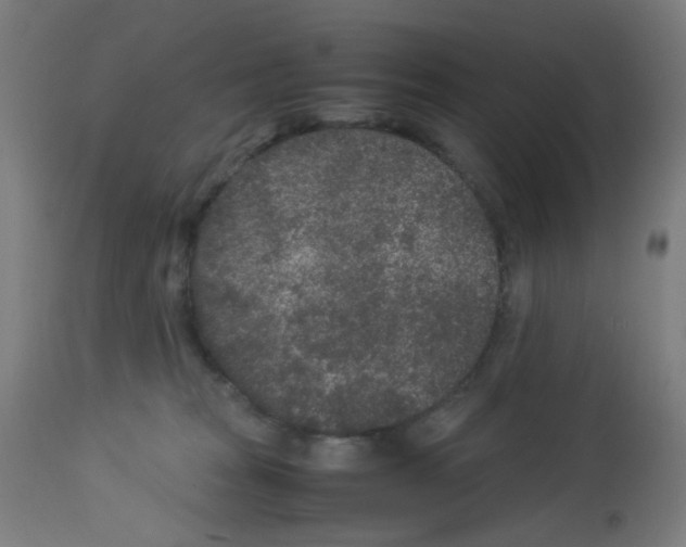 X0000113010277200910081229