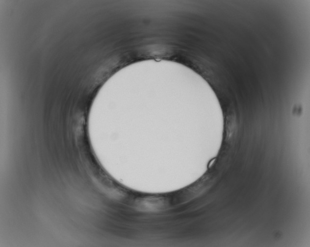 X0000113010279200910081229