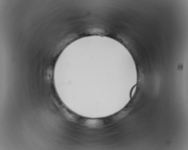 X0000113010281200910081229