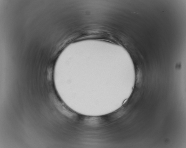 X0000113010282200910081229